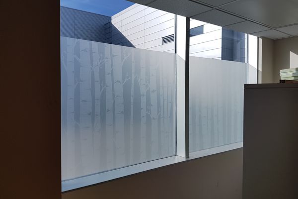 Printed Birch Trees Etch Vinyl