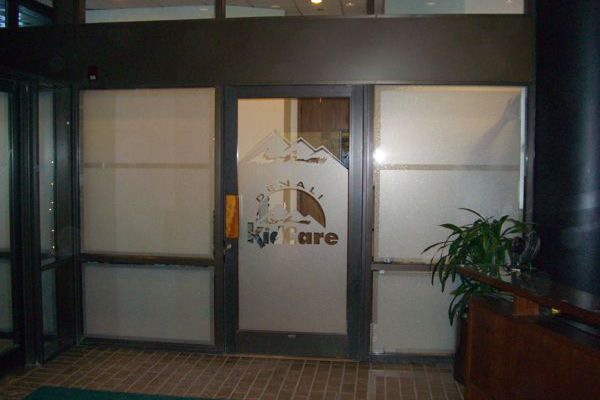 Etch Vinyl Logo on Door Side Lights